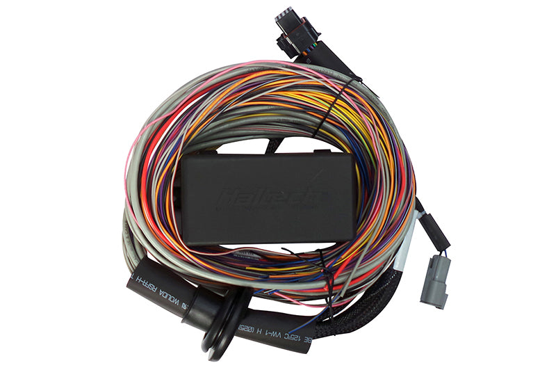 Haltech Elite 750 Premium Universal Wire-In Harness - 2.5m (8ft)