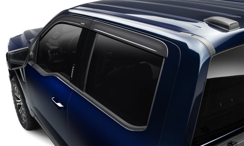 Ventvisor Low Pro