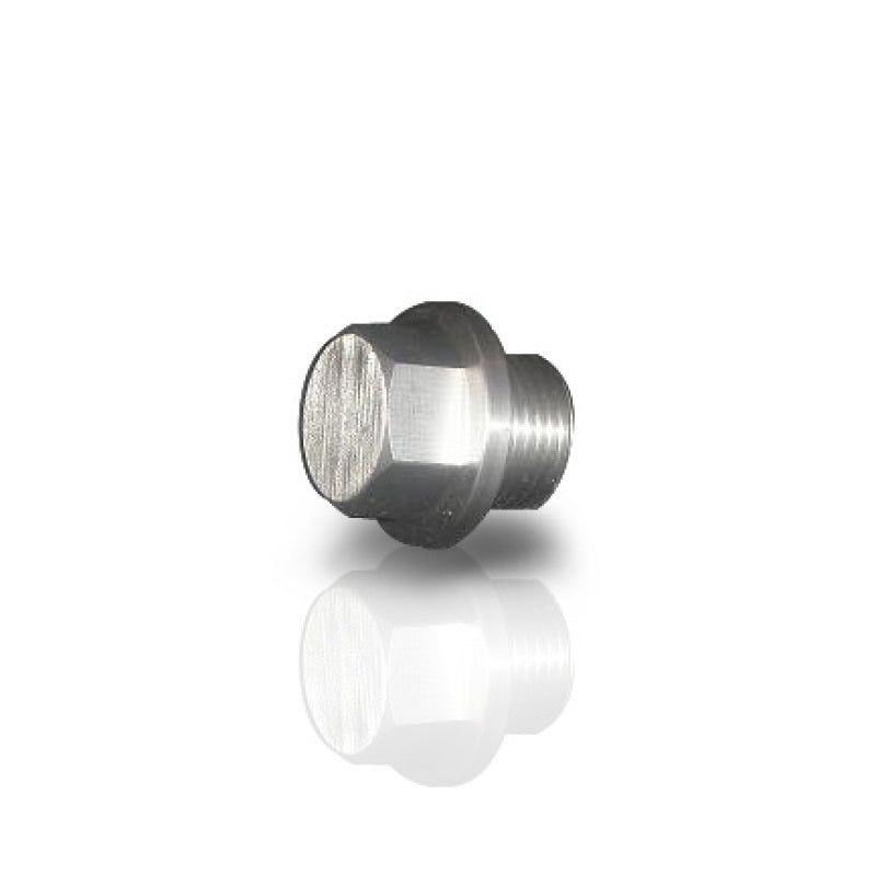 Plug for O2 bung 3/4in
