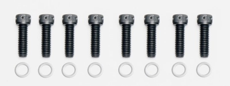 Bolt Kit 8pc 5/16-18x1in