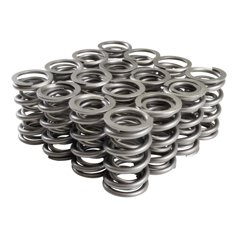 Valve Spring Set