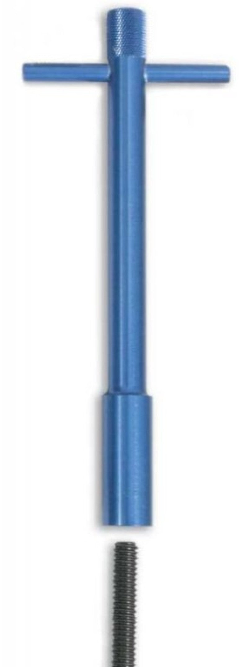 Valve Cover Wing Nut 4pk Blue