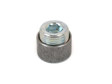 Load image into Gallery viewer, Canton 20-888 Steel Fitting 1 Inch NPT Bung With Plug Welding Required