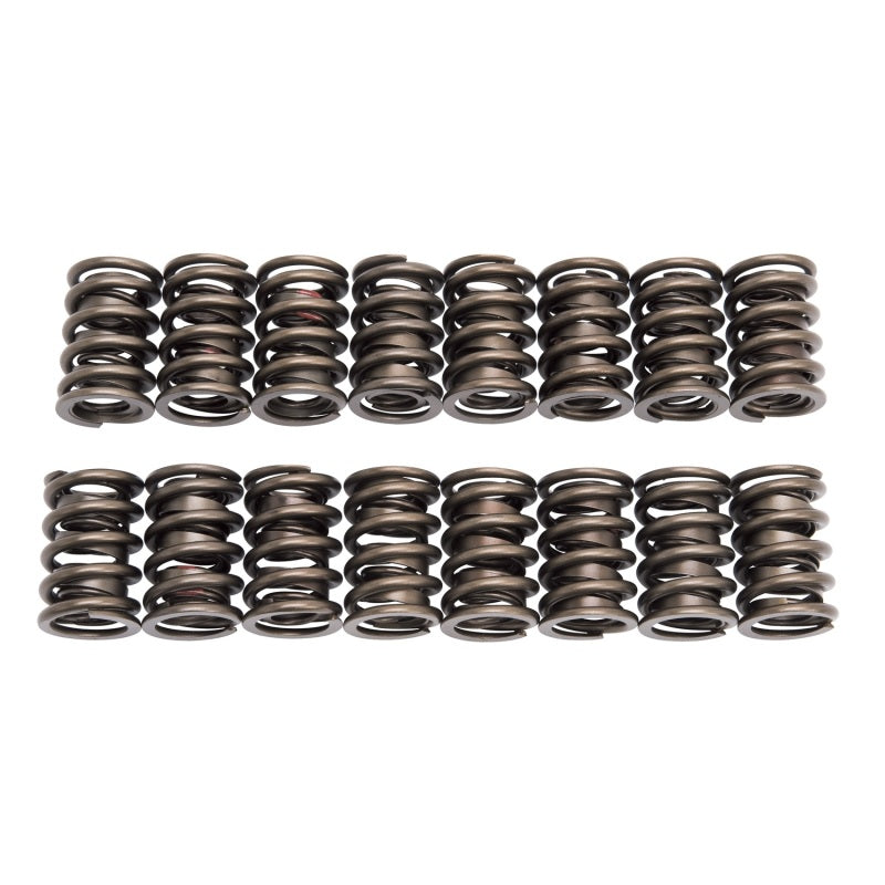 1.460 Valve Spring Set 16
