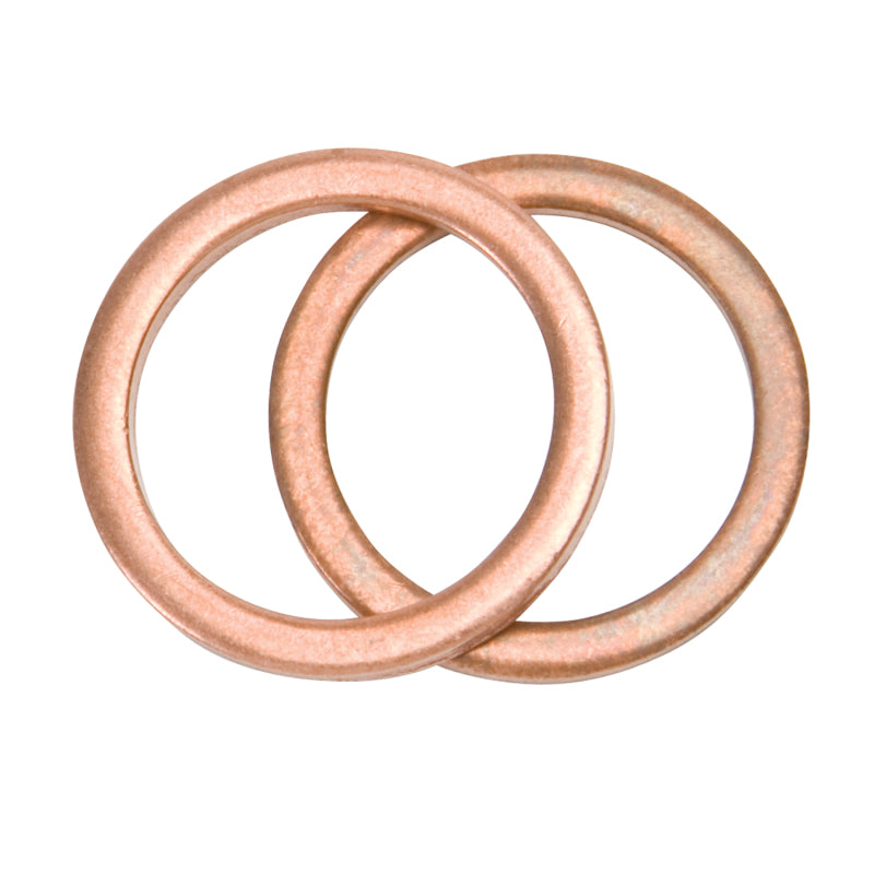 Billet Fuel Pump Washers (2 Pack)