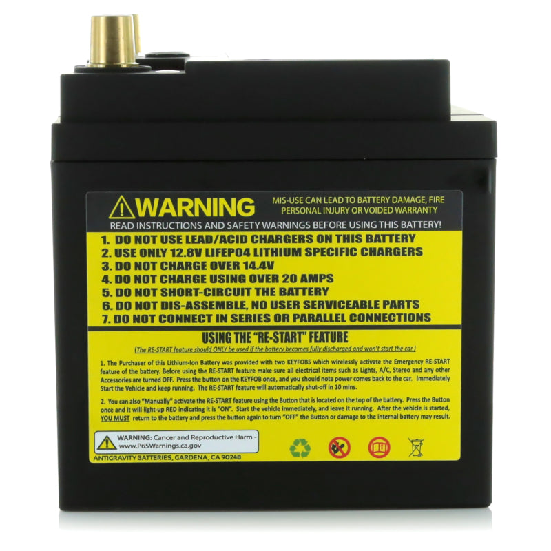 Lithium Battery Group 48/H6 1500CCA 12 Volt