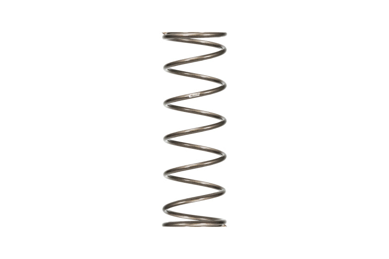 Spring Rear 16in x 5in x 100# Platinum