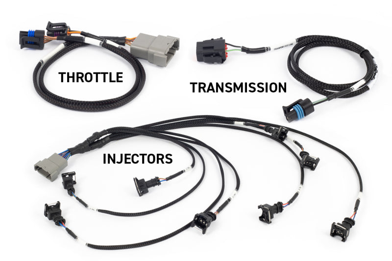 Nexus Rebel LS Kit w/Cable Throttle EV1 Inj