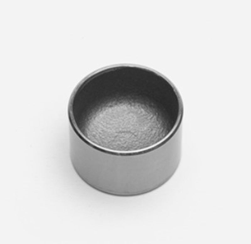 Piston - 1.38in X .88 SS