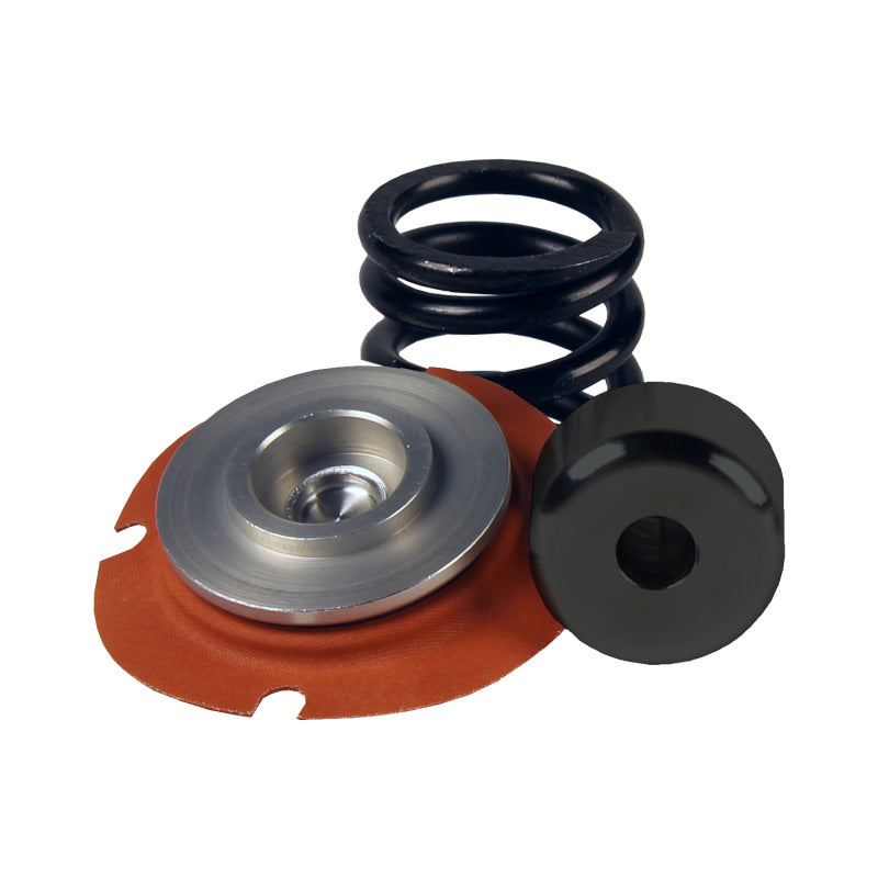 Regulator Rebuild Kit - 13305 35-75psi .313 Seat
