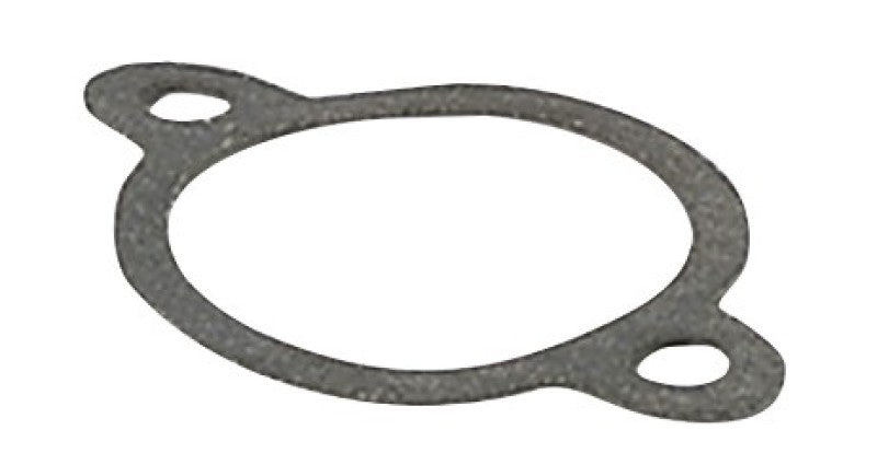 Flat Gasket For #23770
