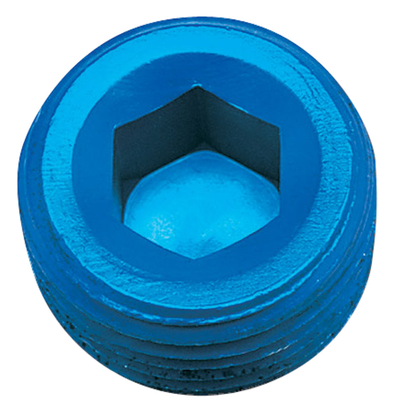 3/4in Allen Pipe Plugs Blue 2/pkg