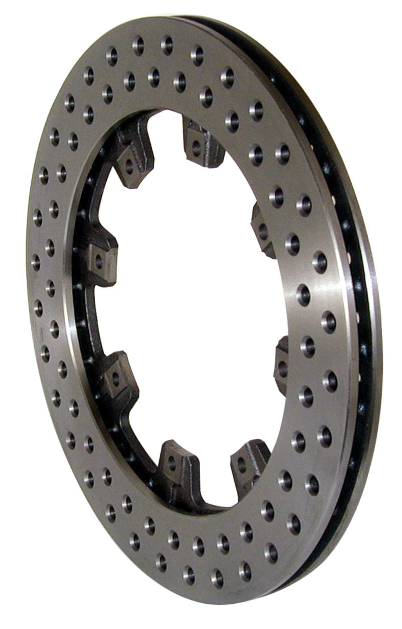 Drilled Rotor 8Bt .810in x12.19in