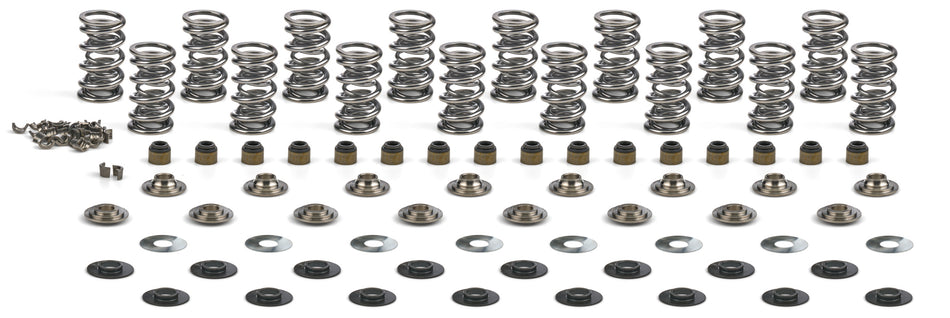 GEN V LT4 Platinum Dual Spring Kit .660in Lift