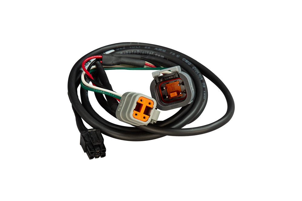 BIM EFI-1 CAN Harness Haltech