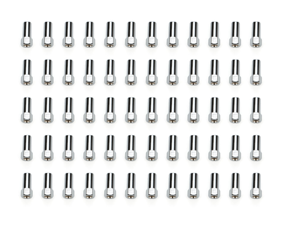 60 Lugnuts SST OE LUG 13/16in 1/2 C