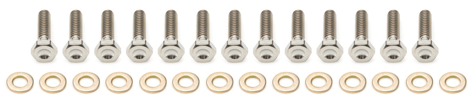 10in Beadlock Bolt Kit Titanium