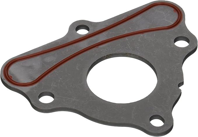 Seal GM LS Cam Plate Retainer 97-08