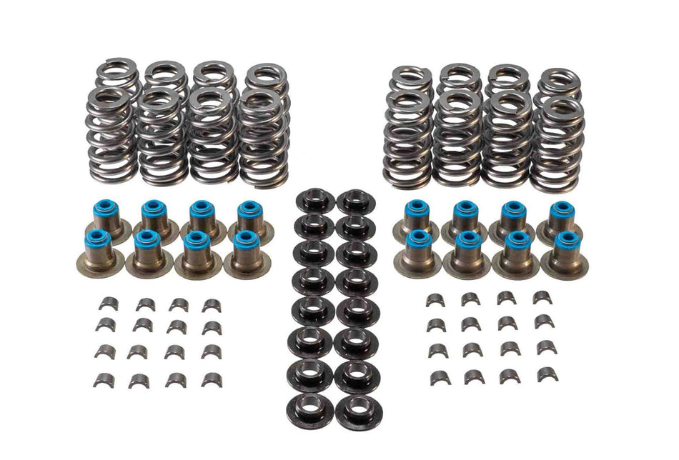 Valve Spring Kit GM LS