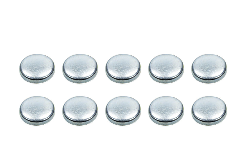 Expansion Plugs - 2-1/2 (10)