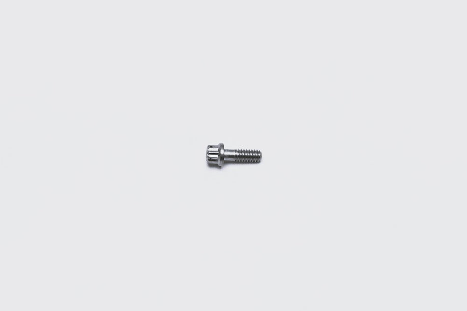 Bolt 1/4-20 X .75IN 12PT Stainless