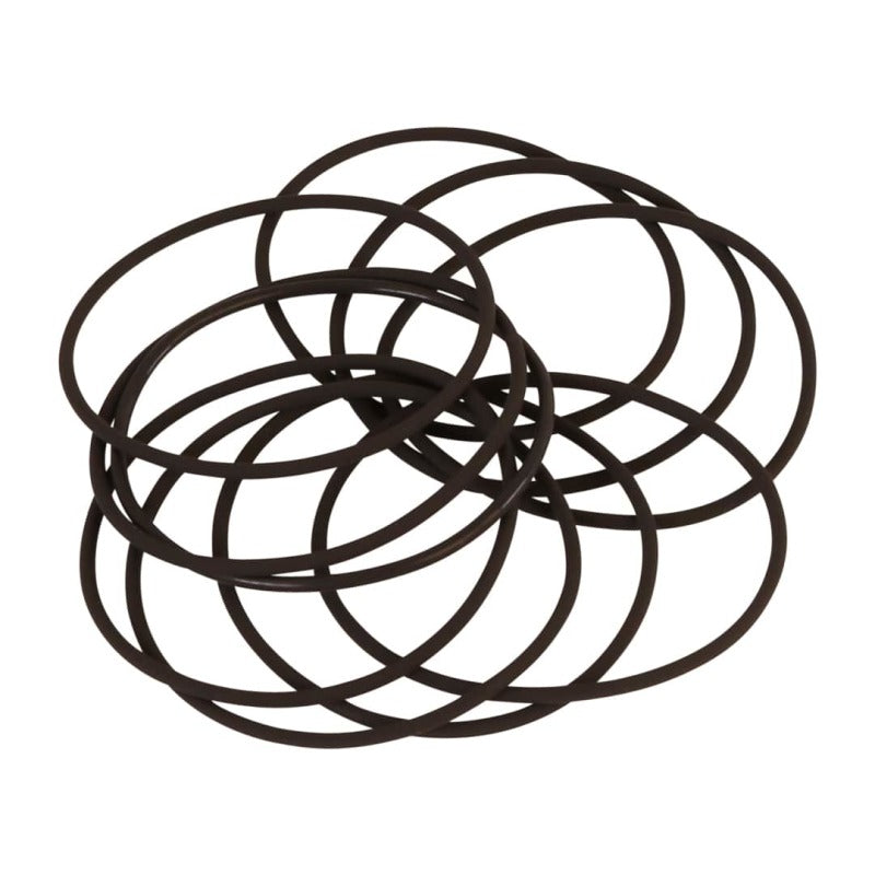 Filter O-Rings (10)