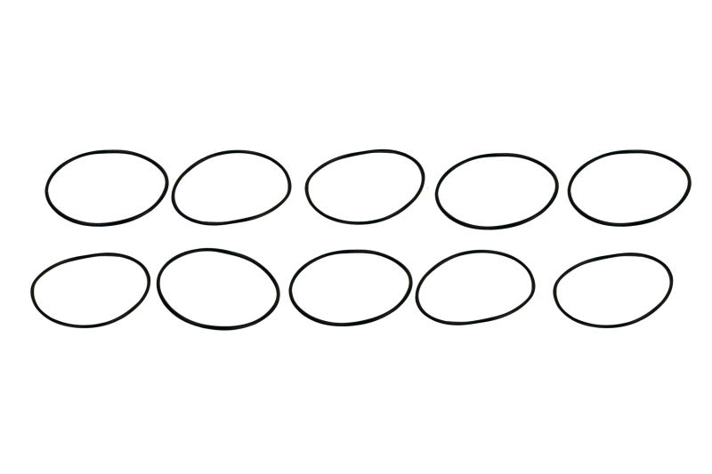 Filter O-Rings (10)