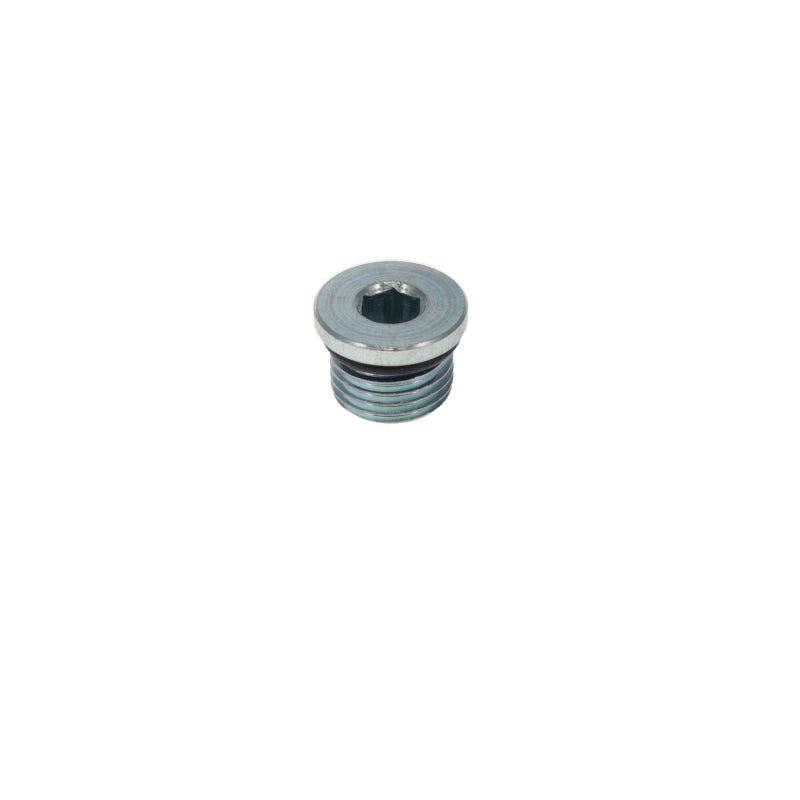 Tank Fitting -6an Plug