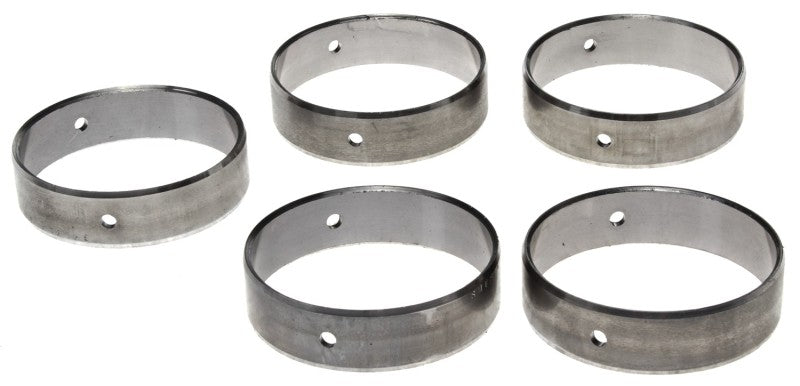 Cam Bearing Set