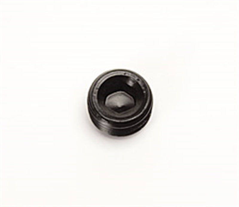 P/C 3/8 NPT Pipe Plug