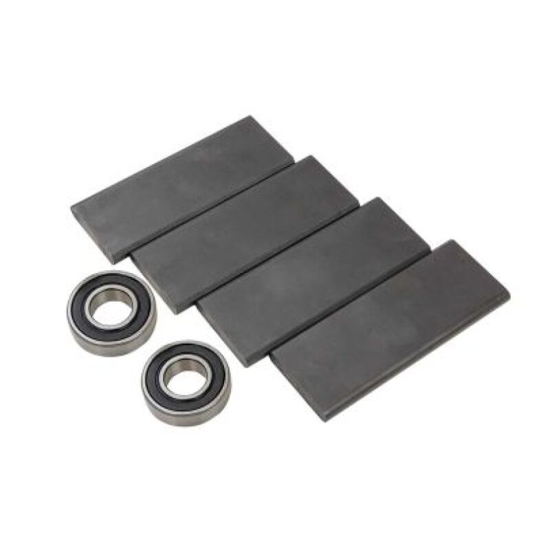 Vacuum Pump Vane Kit Large Style Pump 22843