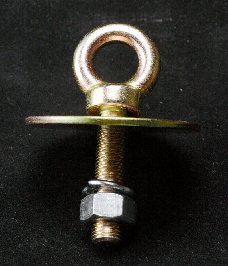 Long Eye Bolt- Floor Mount Kit
