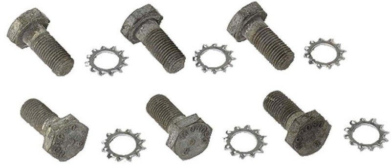 Flex Plate Bolts