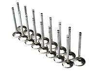 Brian Crower Nissan VQ35DE 38mm Intake Valves