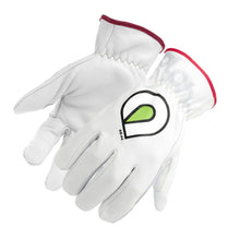 Load image into Gallery viewer, Glove Renegade A6 X-Lrg