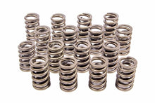 Load image into Gallery viewer, Valve Springs - 1.260 Single w/Damper