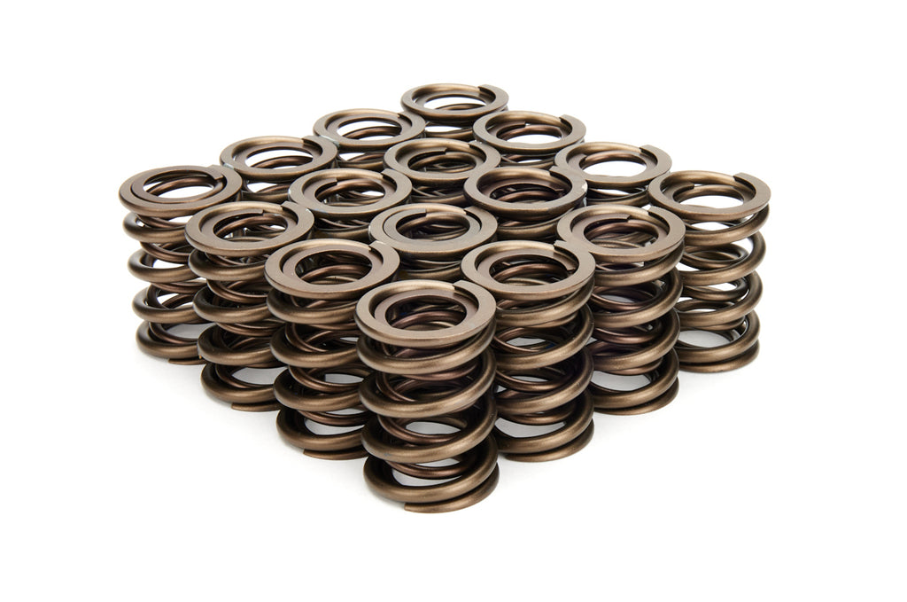 Valve Springs - Dual 1.405