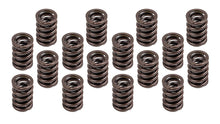 Load image into Gallery viewer, 1.460 Valve Spring Set 16