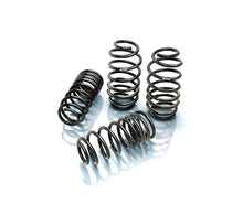 Load image into Gallery viewer, Pro-Kit Performance Springs Set of 4