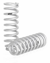 Load image into Gallery viewer, Pro-Lift-Kit Springs Rear Springs Only